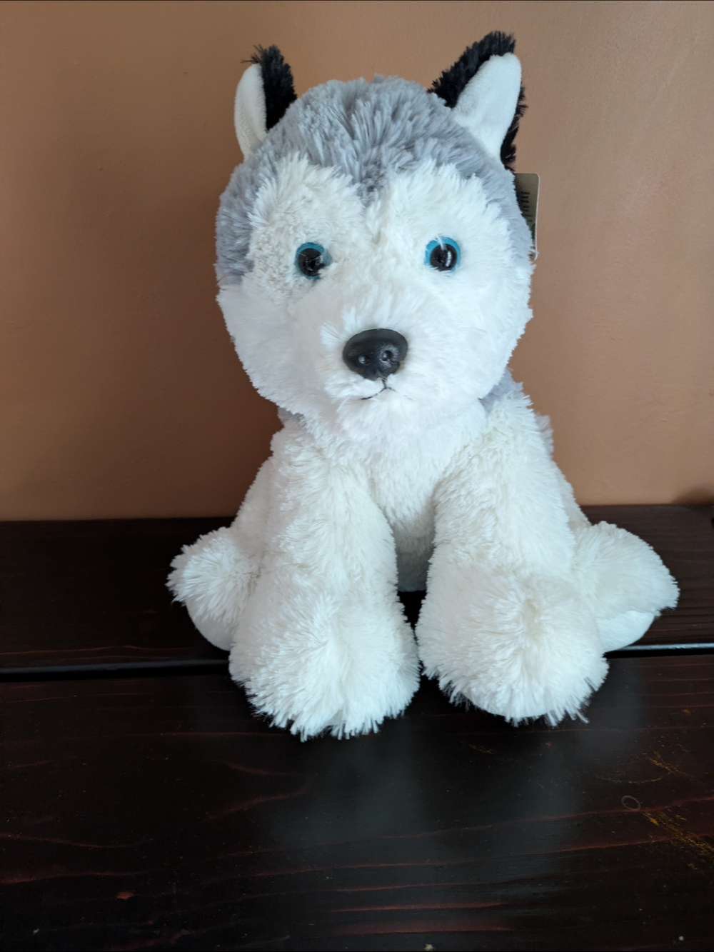 Aurora 12" Husky Dog Stuffed Animal - Gray & White -